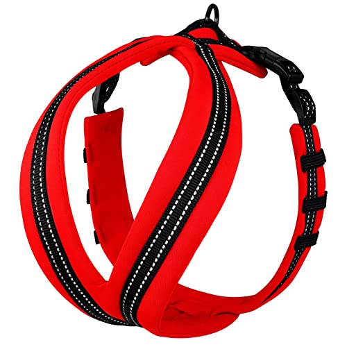 Top 10 Best No Chafe Dog Harness Reviews & Buying Guide Katynel