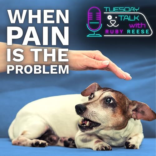 Dog Behaviour - If Pain is the Problem