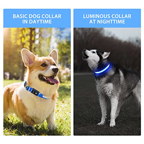 PcEoTllar Leuchthalsband Hund Aufladbar, Hundehalsband Leuchtend Wasserdicht, Blinkend LED Halsband für Hunde mit 7 Farben, Einstellbare LED Hundehalsband für Kleine Große Hunde, Blau-M