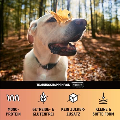 Chewies Trainings-Happen Hundeleckerli Mix Probier-Paket getreidefrei, Soft und ohne Zucker - Monoprotein Hunde-Leckerlis im wiederverschließbaren Eimer - Made in Germany (6 x 300 g)