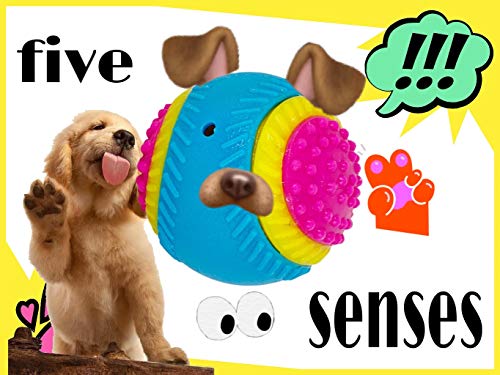 AVANZONA Hundeball. Sensorisches Spielzeug für Blinde Hunde. Sehen, Hören, Berühren, Riechen, Schmecken. Quietschball für Mittlere Große Hund. 8CM.