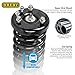 OREDY Front Struts Assembly Replacement for 2001 2002 2003 for Acura CL1999-2003 Acura TL 1998-2002 Honda Accord - 171691L 171691R