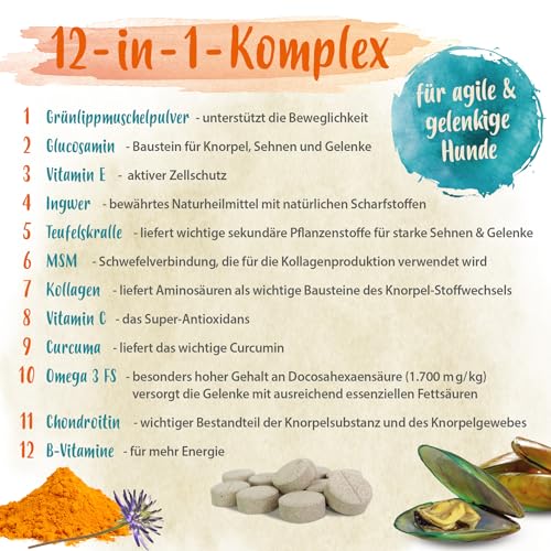 Ida Plus Gelenktabletten Plus - Gelenktabletten für Hunde - Mit Tierärzten entwickelt - Grünlippmuschel, MSM, Omega-3 & Teufelskralle unterstützen Hunde-Gelenke - Hohe Akzeptanz beim Hund - 120 Stück