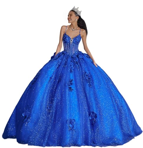 Ball Gown Modern Quinceanera Dress Formal Dress Spaghetti Straps Sleeveless Floor-Length with Appliques 2025