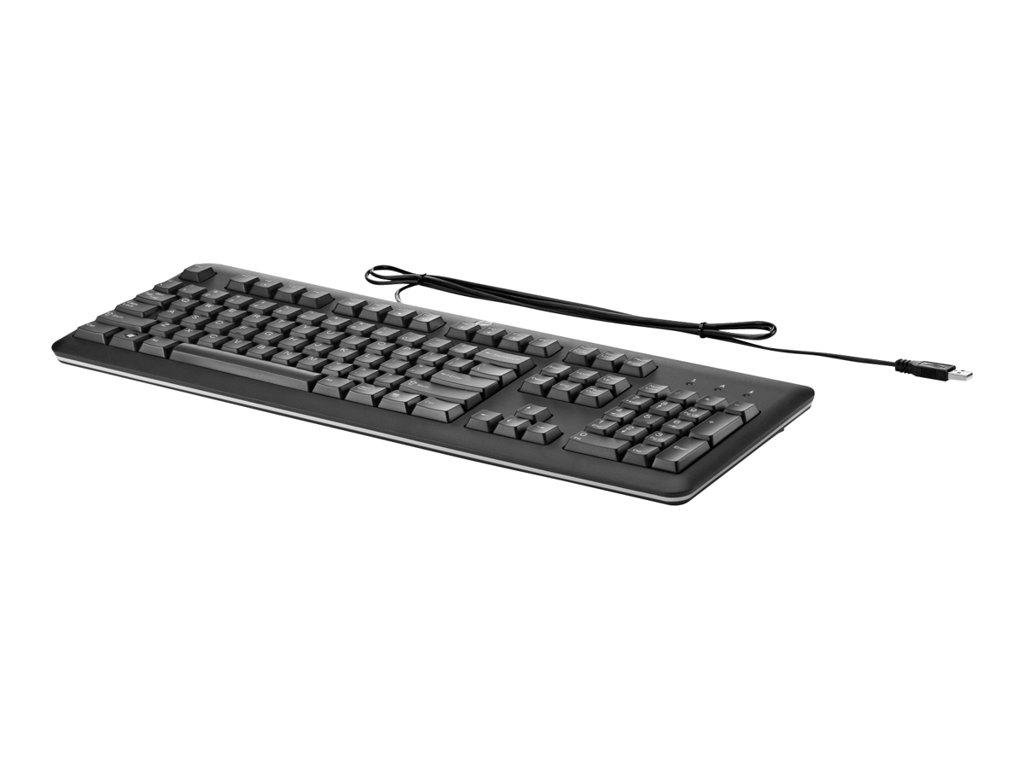 HP QY776AA USB Standard Keyboard Tastiera HP QY776AA USB Standard Keyboard Tastiera
