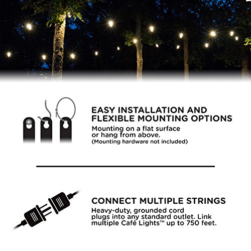 image for Enbrighten Classic Warm White String Lights, 36ft Black Cord, 18 Shatt
