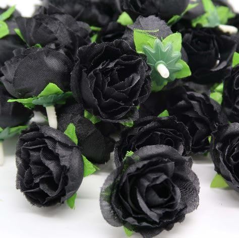 KN ~jo  50 ԕ̂ Ԃт  Bep  (ubN)