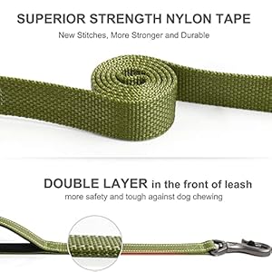 Fida 4 FT Heavy Duty Dog Leash with 2 Comfortable Padded Handles, Traffic Handle & Advanced Easy Snap Hook, Reflective Walking Lead for Large, Medium & Small Breed Dogs, Green