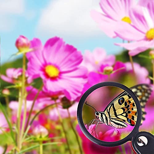 5 Pezzi Lente d'Ingrandimento Pieghevole e