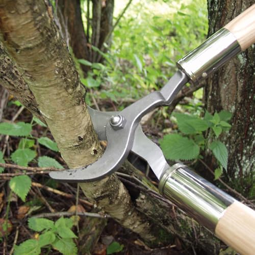 Durchforstungsschere Waldteufel, Robuste Gartenschere für Sträucher und Gehölze, 40 mm Ø Schnittleistung, 72 cm Lang, Gewicht 1.800 g