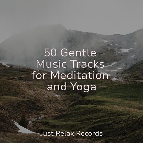 50 Gentle Music Tracks for Meditation and Yoga von Happy Baby Lullaby ...