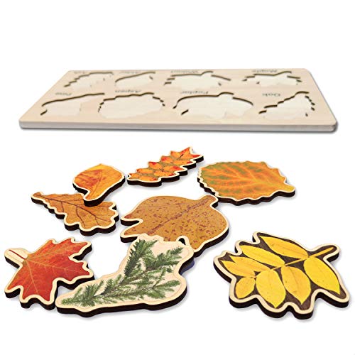 Leaf Wooden Jigsaw Puzzles Educational Learning Stem Toys Boys Girls Birthday Gift Colorful Shape #TOP4