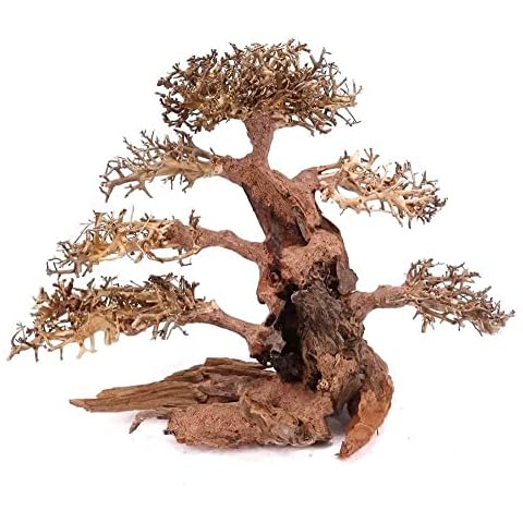 AquaOne Aquarium Bonsai Baum XXL I Wurzel Oriental Holz 50x25x40 cm I Aquascaping Dekoration I Natur Unikat Bonsaibaum I Landschaft Deko Unterwasserlandschaft Cover