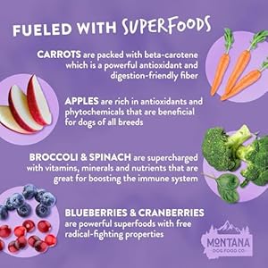 Montana canine meals grain free small batch freeze dried uncooked canine meals free vary beef made in usa prebiotics  probiotics no artificial nutritional vitamins canine meals topper or full meal 12 oz   cucciolini doodles