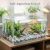 JOHOUSE Quartz Crystals, Crushed Chips Tumbled Polished Stones, Assorted Irregular Shaped Decorative Rocks, Succulent Pebbles for Indoor Plants, Aquarium Betta Fish Tank Gravel, Vase Filler 0.2"-0.5" #3