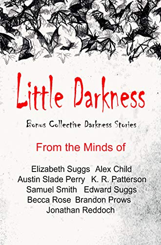Cover of Little Darkness: A Companion to Collective Darkness