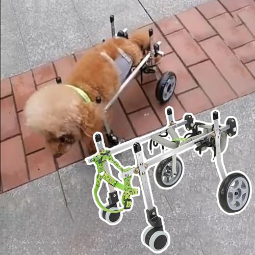 Remorque pour vélo petits chiens et chariot de mobilité réglable