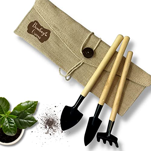 Bombay Greens Mini Gardening Tools Kit for Home Garden | Wooden Handle Garden Tools Set of 3 – Shovel, Spade & Rake in an Eco-Friendly Cloth Pouch Bombay Greens Mini Gardening Tools Kit for Home Garden | Wooden Handle Garden Tools Set of 3 – Shovel, Spade & Rake in an Eco-Friendly Cloth Pouch