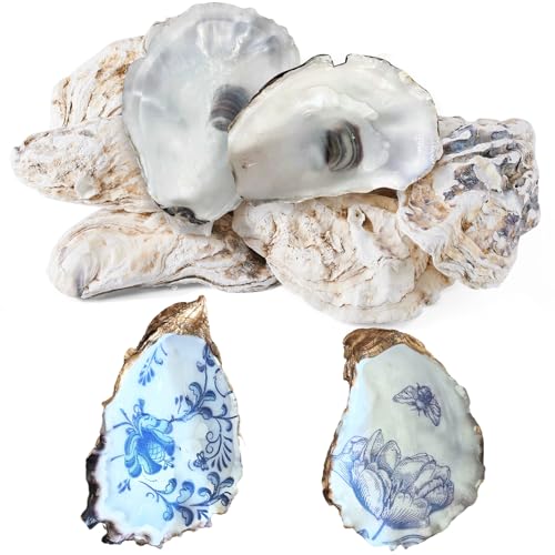 15Pcs Oyster Shells for Crafts, 4-5 Inch Natural Oyster Shells Bulk,...