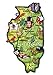 Illinois the Land of Lincoln State Artwood Jumbo Fridge Magnet