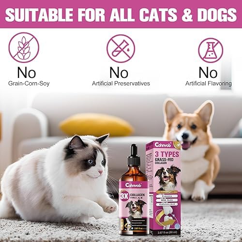 Collagène Liquide Premium pour Chiens et Chats - Hydrolysé d'Élevage au Pâturage - Support Nutritionnel Naturel pour Articulations, Hanches, Peau et Poils