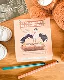 Calendrier de grossesse (Grands Frères/Grandes Soeurs)