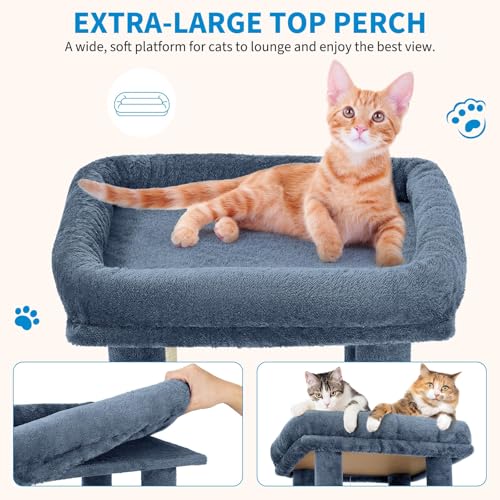 Árbol para gatos multi-niveles 61 pulgadas para gatos grandes miniatura 6