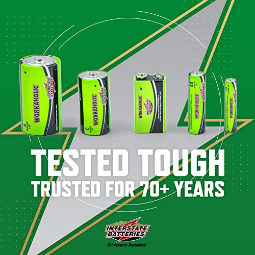 The 30 Best SingleUse D Batteries of 2024 [Verified] Cherry Picks