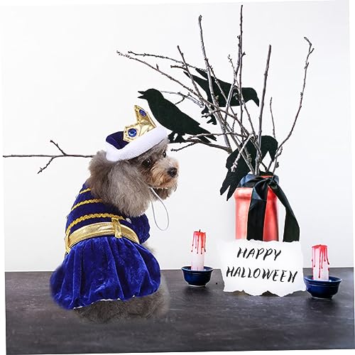 Disfraz para perro y gato Halloween con sombrero miniatura 7