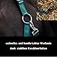 Halfter für Pferde mit Strick | Führstrick Pferd Halfter | Halfter Pony, Vollblut, Full, X-Full mit Strick (Grün, Warmblut)
