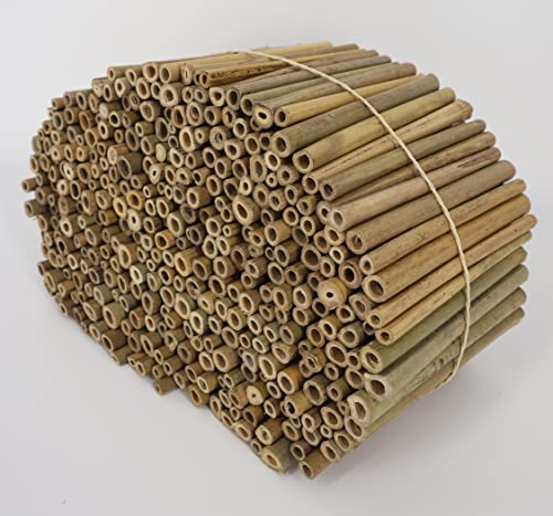 aktiongruen MEGA Pack bamboestokken insectenhotel knutselspullen ca. 300 nestbuizen 12 cm met 300 g leempoeder & meer! - Image 5