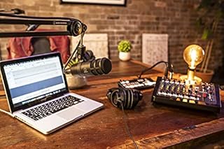 Audio-Technica 2040 Dynamisches Podcast-Mikrofon mit Hypernierencharakteristik Schwarz