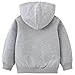 AIWUHE Toddler Baby Boy Girl Hoodies Solid Color Long Sleeve Kangaroo Pocket Hooded Sweatshirt Top Fall Winter Clothes Gray 6Y 130