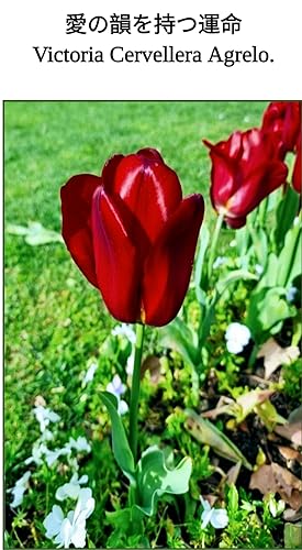 愛の韻を持つ運命