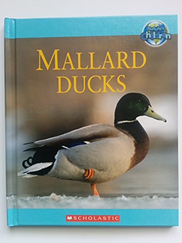Mallard Ducks by Amy-Jane Beer 2008, Hardcover Hardcover Amy-Jane Beer