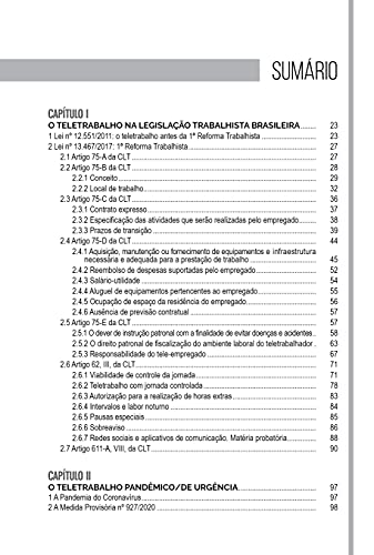 O Teletrabalho na Legislação Brasileira e sua Multidisciplinaridade: Aspectos Teóricos e Práticos