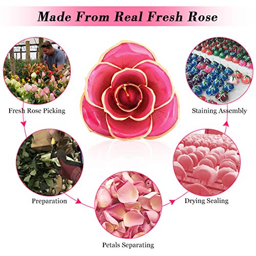 Listado de Rosa oro los mejores 5. 5 rosa oro marca Ejoyous (2)