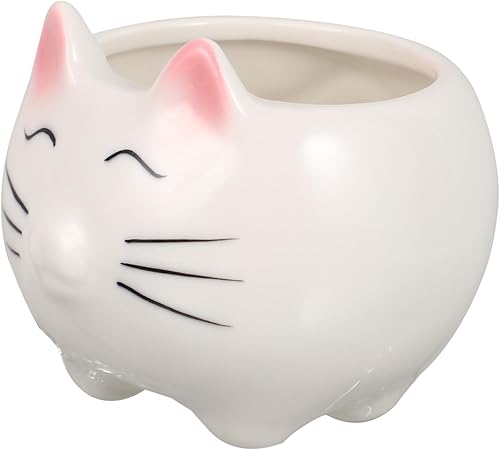 Bonita maceta de cerámica con diseño de gato para decoración de suculentas, transpirable, para cactus y violetas africanas, decoración de macetas