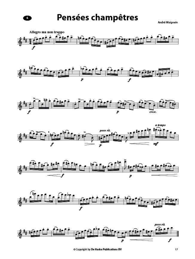 NEW CONCERT STUDIES FOR FLUTE FLUTE TRAVERSIERE +CD image 4