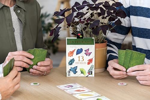 Jeu d’ambiance Gigamic 13 Feuilles - vue 8