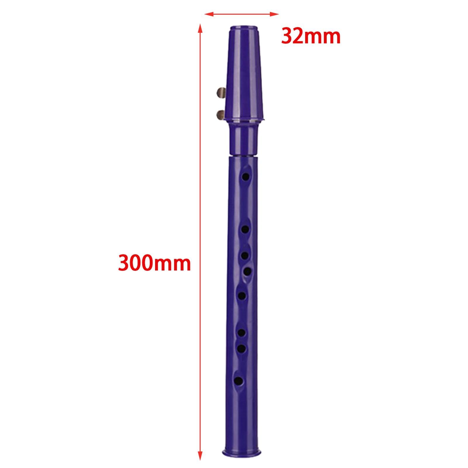 Mini Saxophone Portable avec Bec, Anches et étui de Transport pour Les Passionnés de Musique, violet