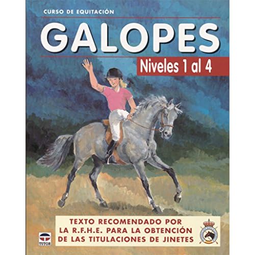 GALOPES NIVELES DEL 1 AL 4 (CURSO)