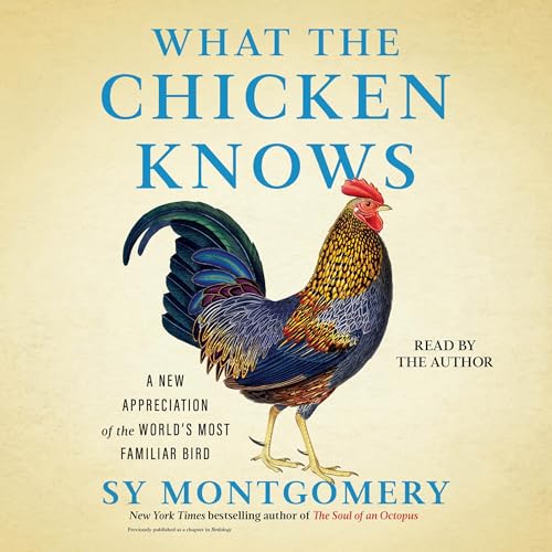 What the Chicken Knows (By Sy Montgomery) episode artwork