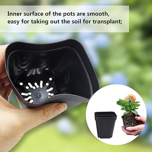 Rootrimmer PLANTER NURSERY POTS Square Nursery Pots 4 Inches 60Pcs thumb #2