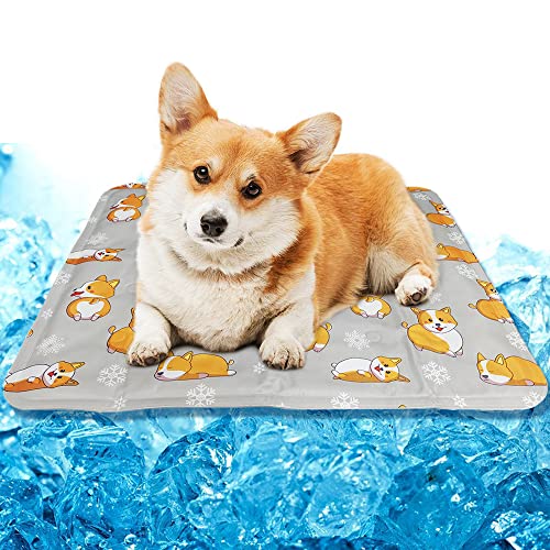 Top 10 Best Cooling Matt For Dogs Reviews & Buying Guide Katynel