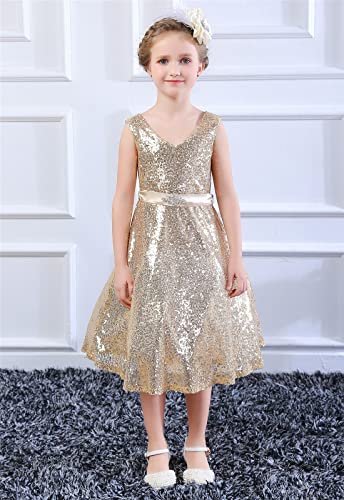 Bow Dream Lovely Lace V-Neck Sleeveless Flower Girl Dress2