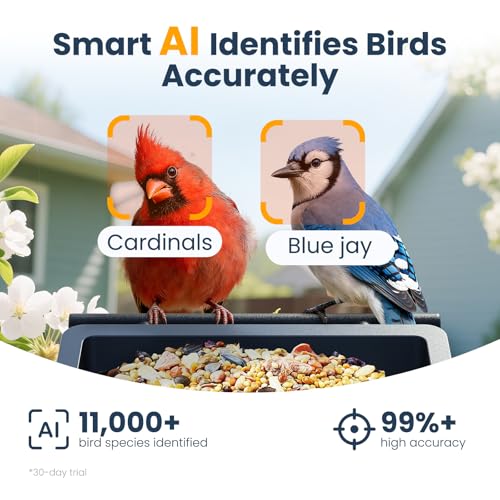 Image of Smart Metal Bird Feeder with Camera, Deep Blue