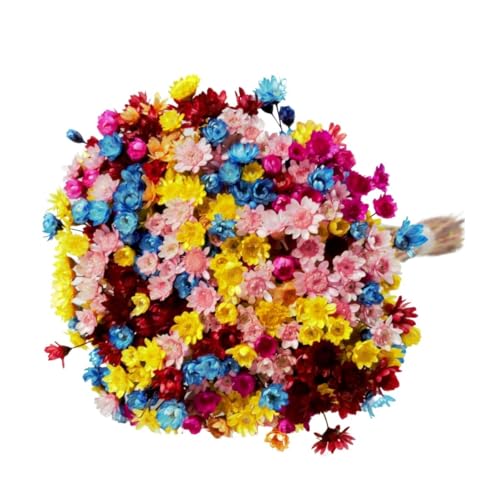 Mistura Colorida de Plantas Secas Eternas 30cm