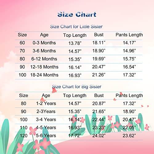 Newborn Baby Girl Clothes Big Sister Little Sister Matching Outfits Infant Romper Floral Pants Toddler Girls Clothing Sets #TOP5