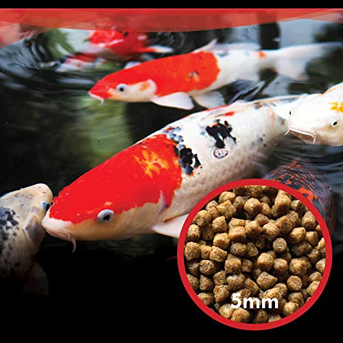 HALF OFF PONDS Show and Grow Koi and Goldfish Color Enhancing and Protein Food 50 lbs. Bag - KOISG-050